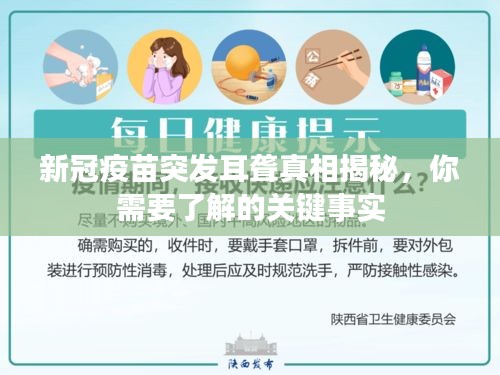 2025年3月 第2頁(yè)