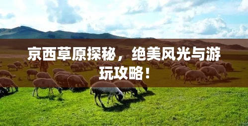 2025年4月 第139頁