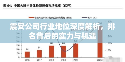 震安公司行業(yè)地位深度解析，排名背后的實(shí)力與機(jī)遇