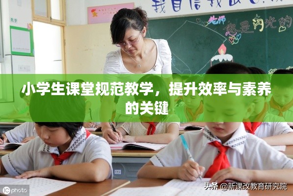 貌美如花