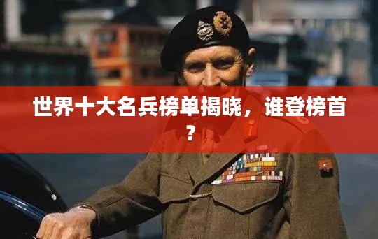世界十大名兵榜單揭曉，誰登榜首？