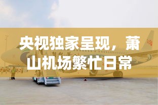 溫文爾雅