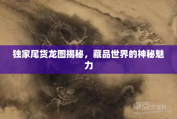 獨(dú)家尾貨龍圖揭秘，藏品世界的神秘魅力