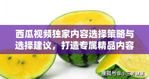 西瓜視頻獨家內容選擇策略與選擇建議，打造專屬精品內容吸引眼球
