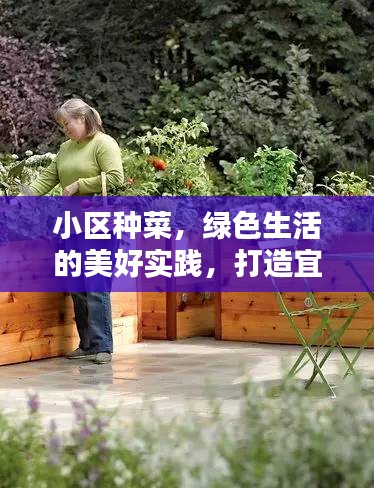 小區(qū)種菜，綠色生活的美好實(shí)踐，打造宜居環(huán)境！