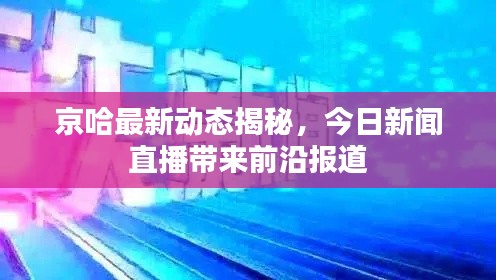 京哈最新動(dòng)態(tài)揭秘，今日新聞直播帶來前沿報(bào)道