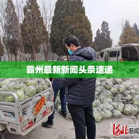 霸州最新新聞頭條速遞