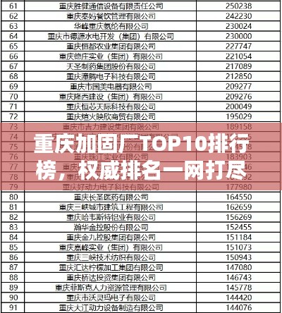 重慶加固廠TOP10排行榜，權(quán)威排名一網(wǎng)打盡！