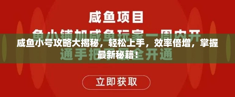 咸魚小號攻略大揭秘，輕松上手，效率倍增，掌握最新秘籍！