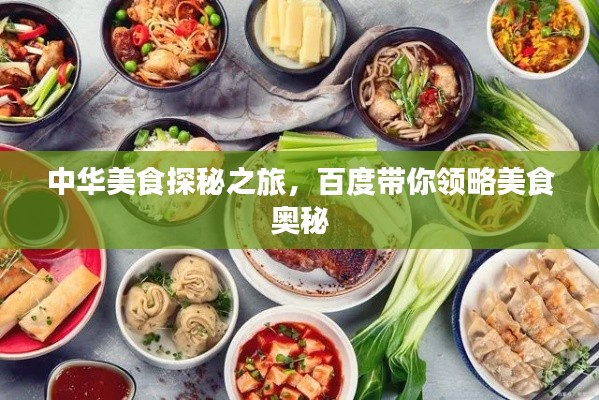 中華美食探秘之旅，百度帶你領(lǐng)略美食奧秘