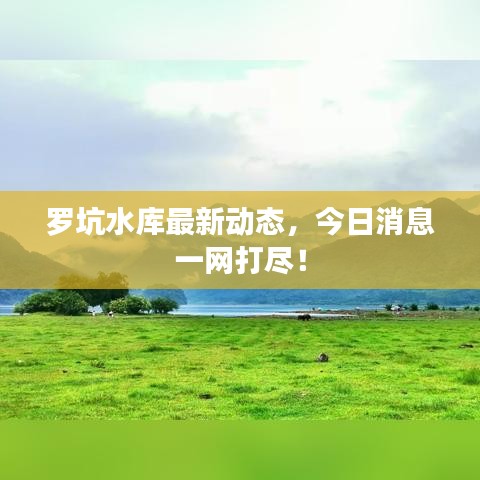 羅坑水庫最新動態(tài)，今日消息一網(wǎng)打盡！
