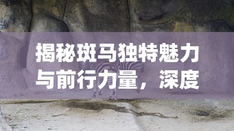 空谷幽蘭