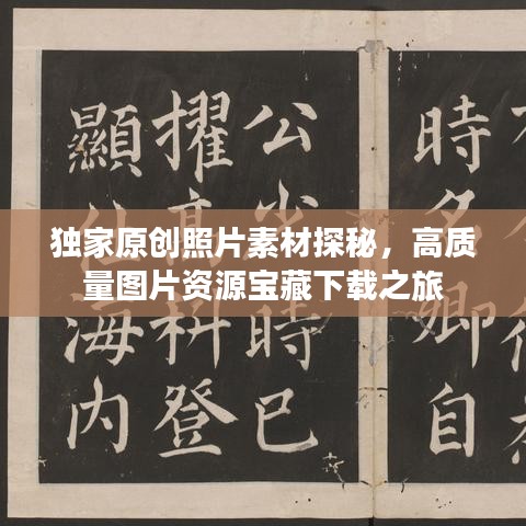 獨家原創(chuàng)照片素材探秘，高質(zhì)量圖片資源寶藏下載之旅