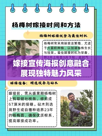 嫁接宣傳海報創(chuàng)意融合展現(xiàn)獨特魅力風(fēng)采