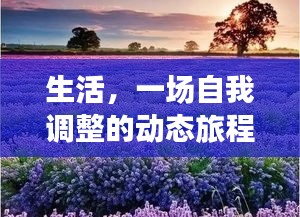 生活，一場自我調(diào)整的動態(tài)旅程