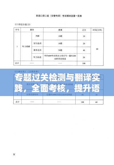 專題過關(guān)檢測與翻譯實踐，全面考核，提升語言應(yīng)用能力
