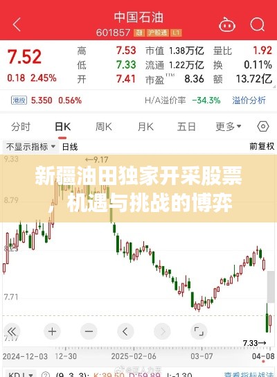 新疆油田獨家開采股票，機遇與挑戰(zhàn)的博弈
