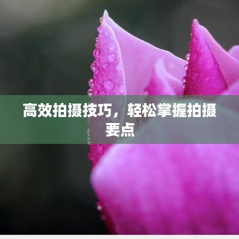 新聞動態(tài) 第10頁