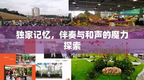 獨(dú)家記憶，伴奏與和聲的魔力探索