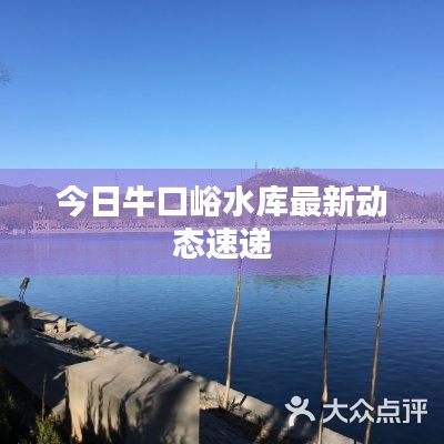 今日牛口峪水庫最新動態(tài)速遞