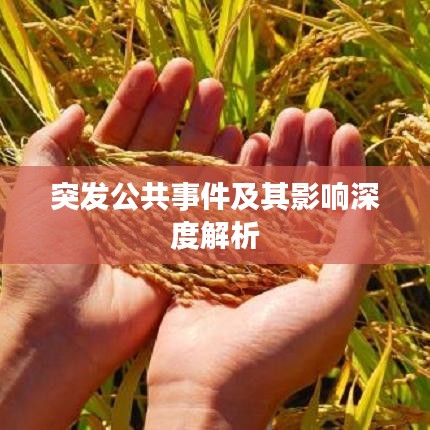 突發(fā)公共事件及其影響深度解析