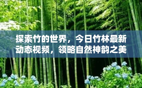 在線留言 第9頁