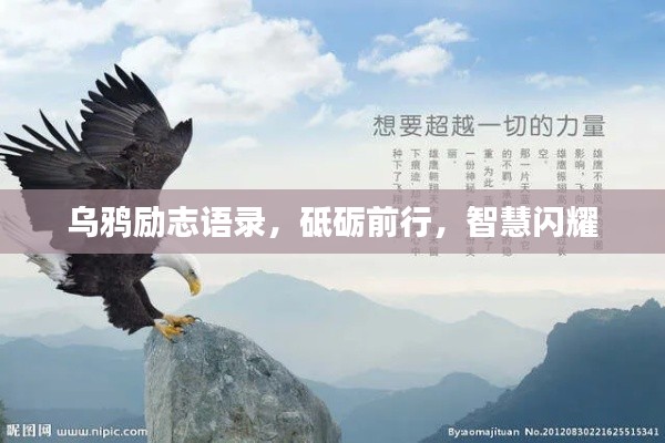 烏鴉勵(lì)志語錄，砥礪前行，智慧閃耀
