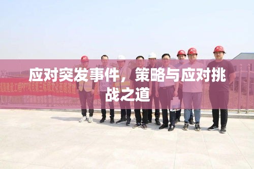 應對突發(fā)事件，策略與應對挑戰(zhàn)之道