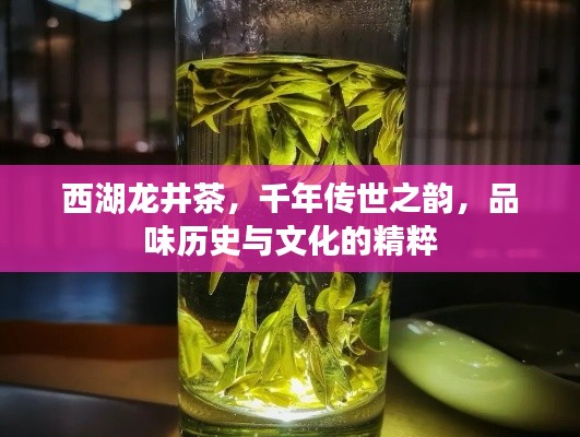西湖龍井茶，千年傳世之韻，品味歷史與文化的精粹