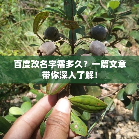 百度改名字需多久？一篇文章帶你深入了解！