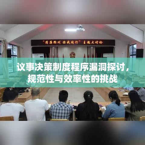 議事決策制度程序漏洞探討，規(guī)范性與效率性的挑戰(zhàn)