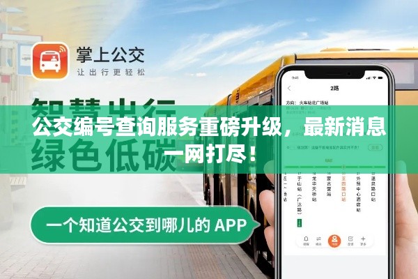 公交編號(hào)查詢服務(wù)重磅升級(jí)，最新消息一網(wǎng)打盡！