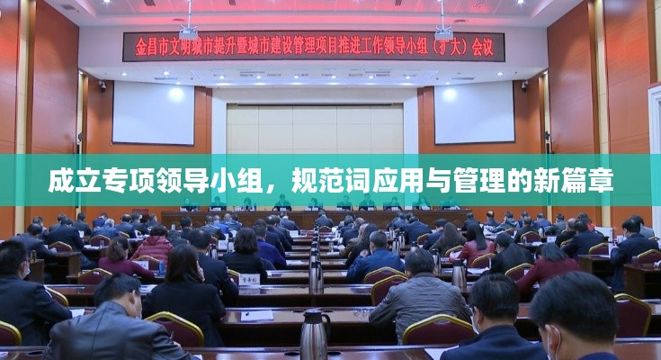 成立專項領(lǐng)導(dǎo)小組，規(guī)范詞應(yīng)用與管理的新篇章