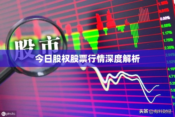 今日股權(quán)股票行情深度解析