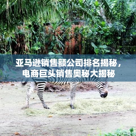 亞馬遜銷售額公司排名揭秘，電商巨頭銷售奧秘大揭秘