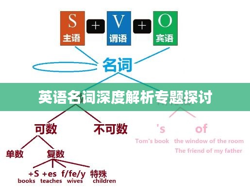 英語名詞深度解析專題探討