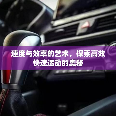 速度與效率的藝術(shù)，探索高效快速運(yùn)動(dòng)的奧秘