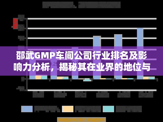 邵武GMP車(chē)間公司行業(yè)排名及影響力分析，揭秘其在業(yè)界的地位與優(yōu)勢(shì)