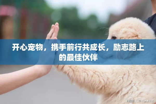 開(kāi)心寵物，攜手前行共成長(zhǎng)，勵(lì)志路上的最佳伙伴