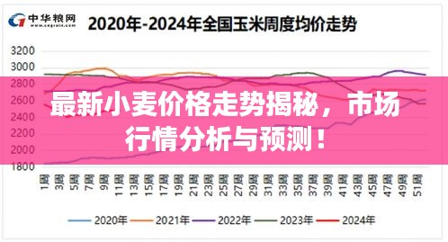 最新小麥價格走勢揭秘，市場行情分析與預測！