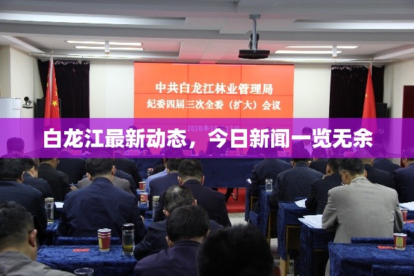 白龍江最新動態(tài)，今日新聞一覽無余