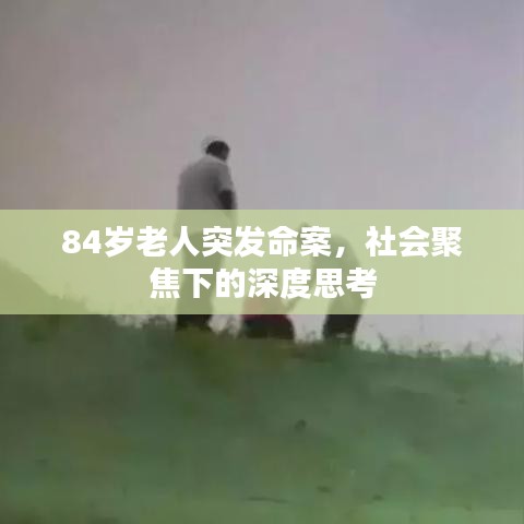 84歲老人突發(fā)命案，社會(huì)聚焦下的深度思考