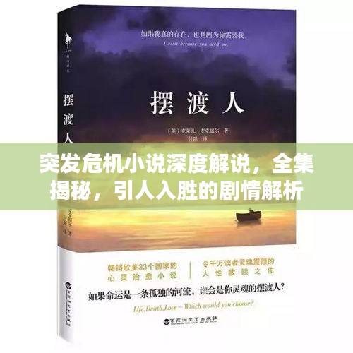 突發(fā)危機(jī)小說(shuō)深度解說(shuō)，全集揭秘，引人入勝的劇情解析