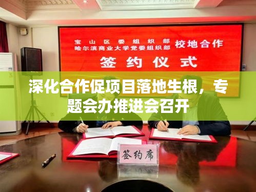 深化合作促項(xiàng)目落地生根，專題會(huì)辦推進(jìn)會(huì)召開(kāi)