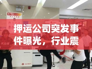 瑞雪飛舞