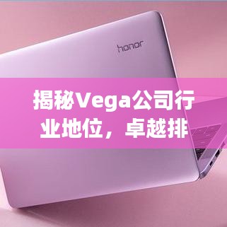 揭秘Vega公司行業(yè)地位，卓越排名不容小覷
