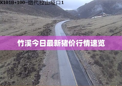 竹溪今日最新豬價(jià)行情速覽