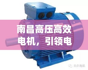 南昌高壓高效電機(jī)，引領(lǐng)電機(jī)技術(shù)革新風(fēng)潮