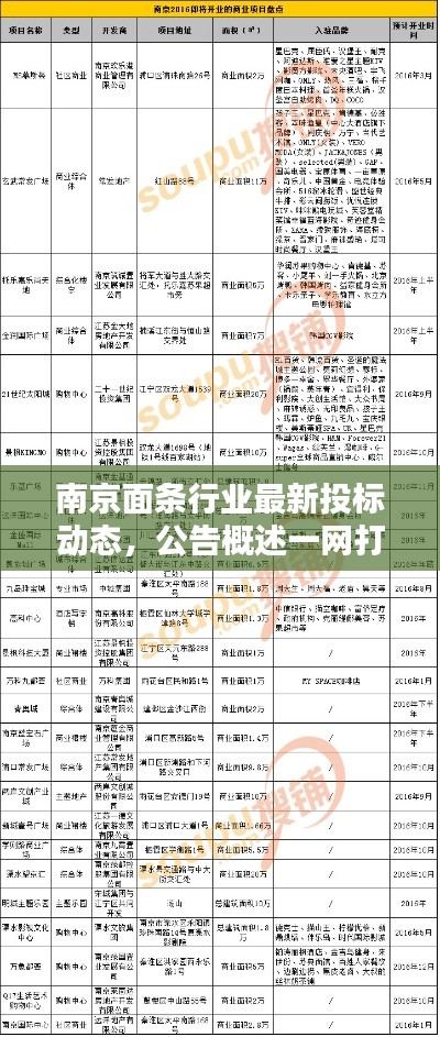 南京面條行業(yè)最新投標(biāo)動(dòng)態(tài)，公告概述一網(wǎng)打盡