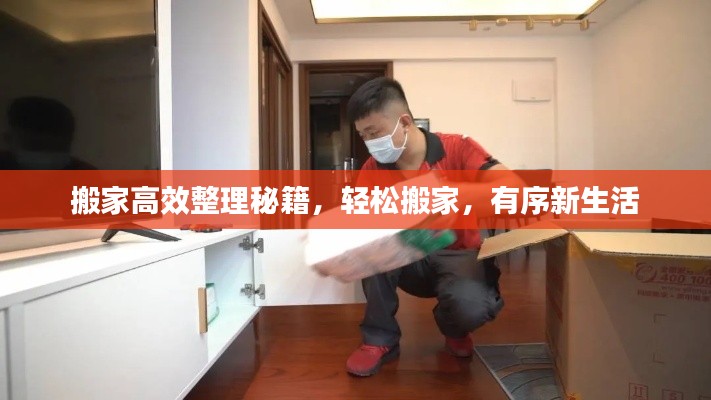 搬家高效整理秘籍，輕松搬家，有序新生活